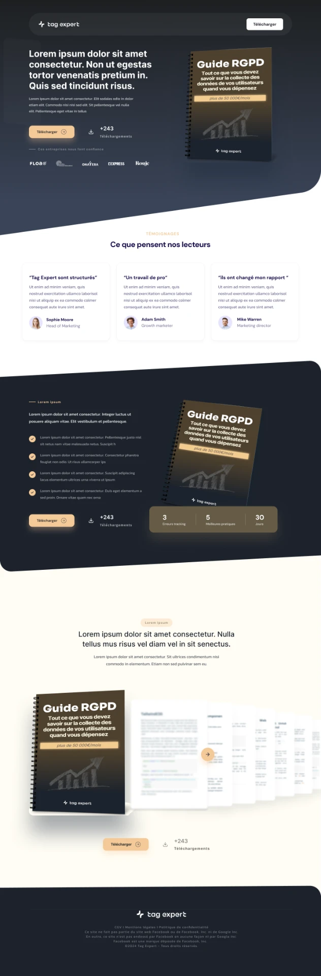 Aperçu du site Tag Expert · Guide RGPD